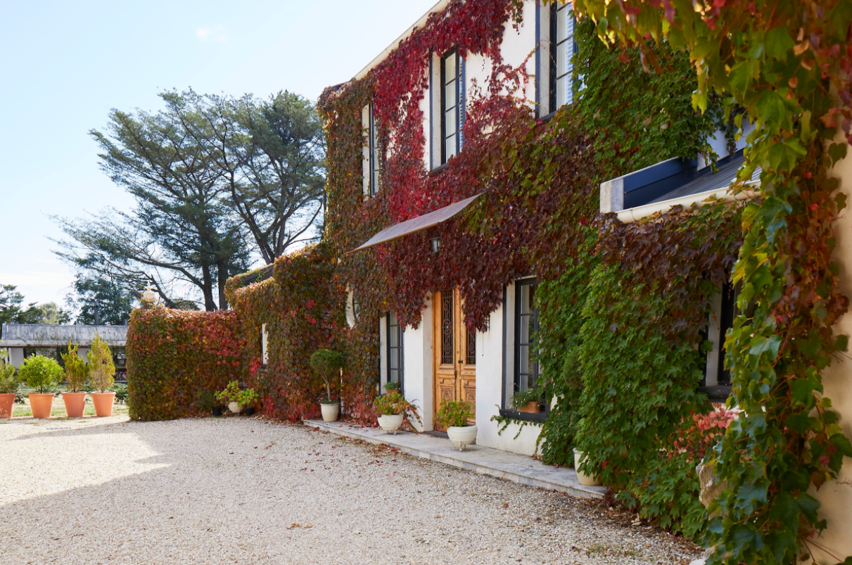 Screen-Shot-2021-01-07-at-2.25.54-pm