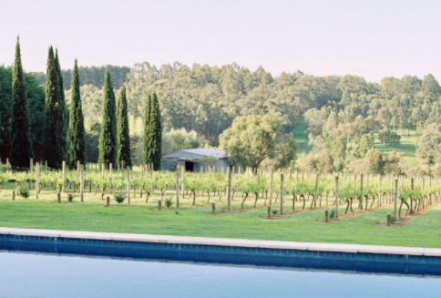 Screen-Shot-2021-01-07-at-2.28.35-pm