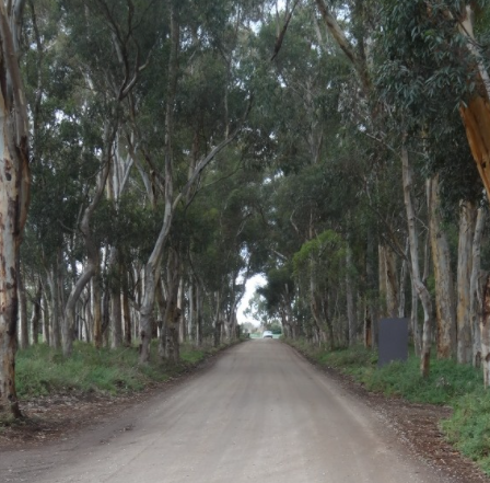 Screen-Shot-2021-01-07-at-2.29.40-pm