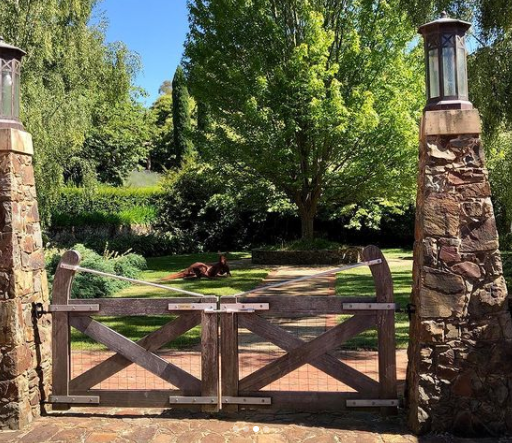 Screen-Shot-2021-01-07-at-2.34.59-pm