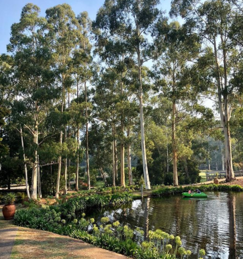 Screen-Shot-2021-01-07-at-2.37.46-pm