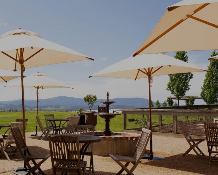 Screen-Shot-2021-01-12-at-10.14.30-am