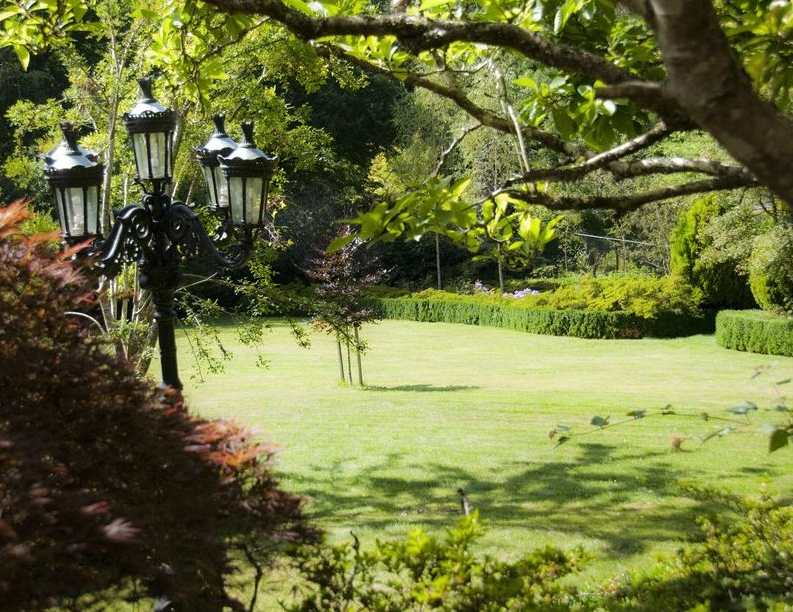 Screen-Shot-2021-01-12-at-10.26.04-am