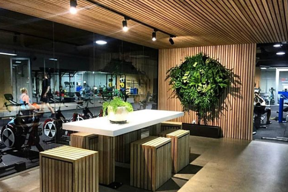 Screen-Shot-2021-01-12-at-3.24.24-pm