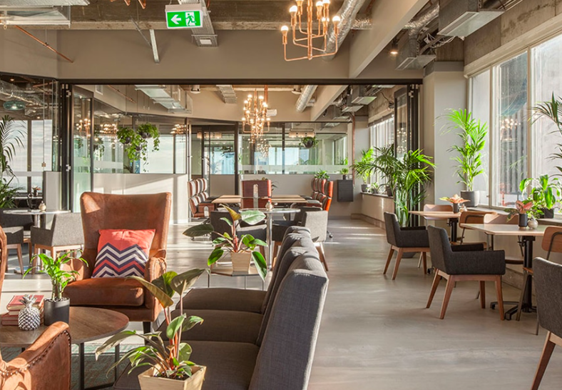 Screen-Shot-2021-01-13-at-5.25.09-pm